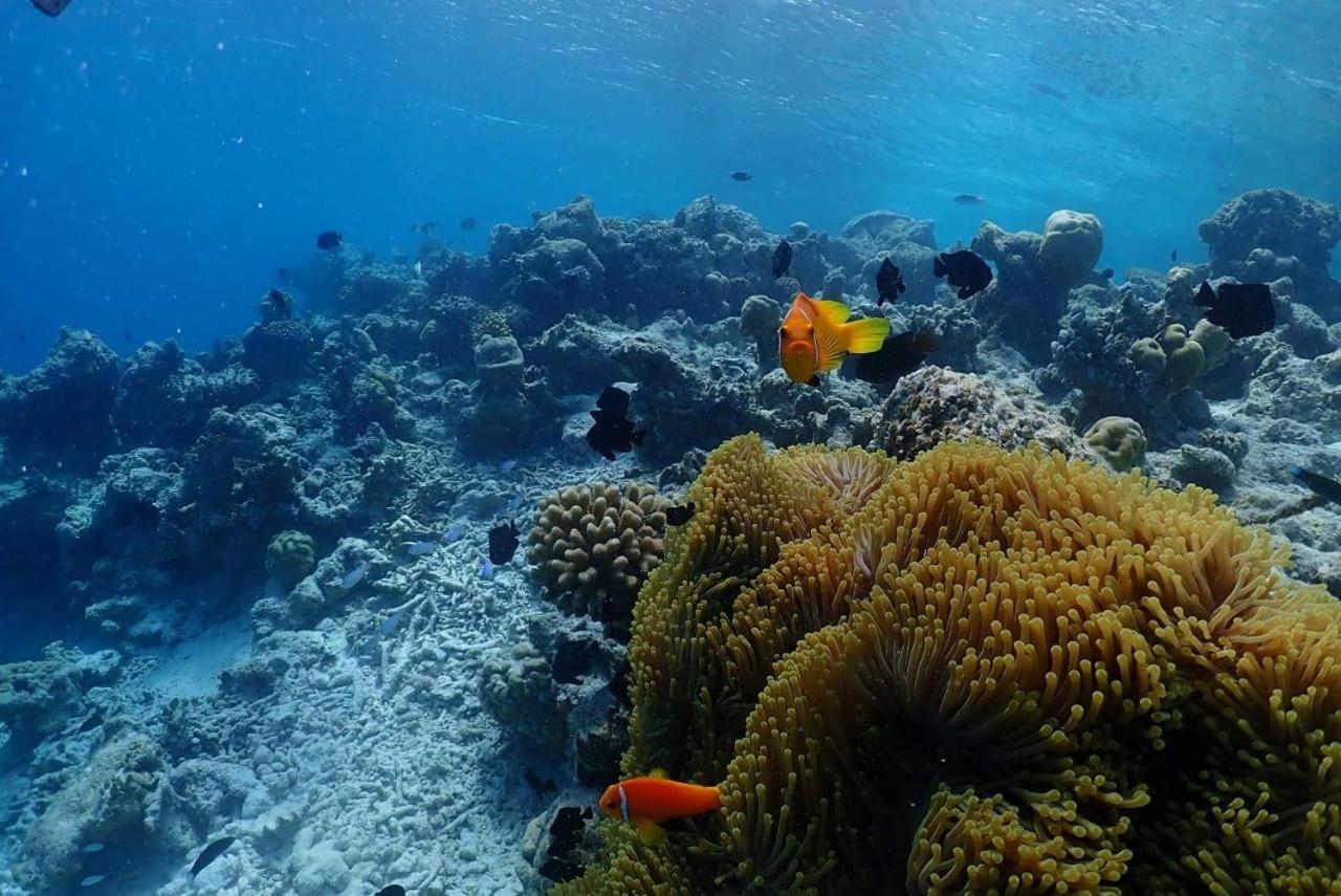 Chambao Maldives Hotel Guraidhoo  Luaran gambar